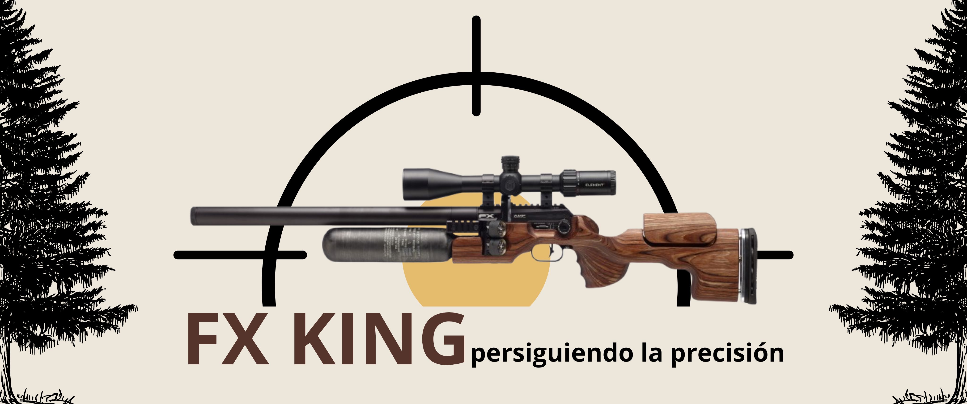 banner de la FX King